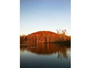 Tract 9 - Beautiful Views - REAL ESTATE AUCTION - 1,013 ACRES IN 21 TRACTS IN MARTIN COUNTY, INDIANA
